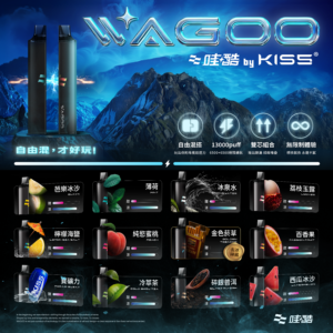 新品上市【WAGOO❣️哇酷拋棄式6500口❣️】by KIS5 的高端品牌 滿10送1